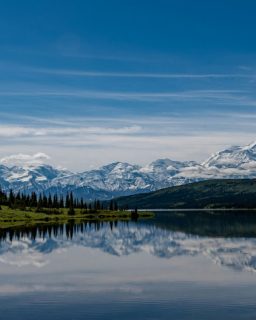 Planning tip of the day ☕🗂️: Sorting dining times for a family’s Alaska cruise next summer. Little details like this can make or break the onboard experience.If you ever feel lost in cruise planning, I’ve got you covered!