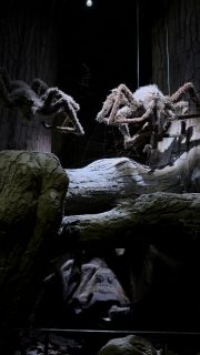 Forbidden Forest scene at the Warner Bros. Studio Tour London.This is the Aragog spider set from Harry Potter—and it’s one of the most detailed parts of the studio. The scale, movement, and sound design make it feel exactly like the film.If you’re planning a trip to London and considering the studio tour, this is one of the key sets you’ll walk through.Worth it for the behind-the-scenes detail alone.