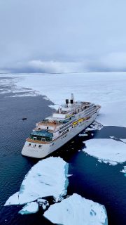 The Arctic remains one of the most remote places on Earth. Aboard Silver Endeavour, it transforms into a realm of beauty, comfort, and rare discovery — where exploration meets exceptional ease.​​Discover the Arctic. Poles away from anywhere you’ve ever been.