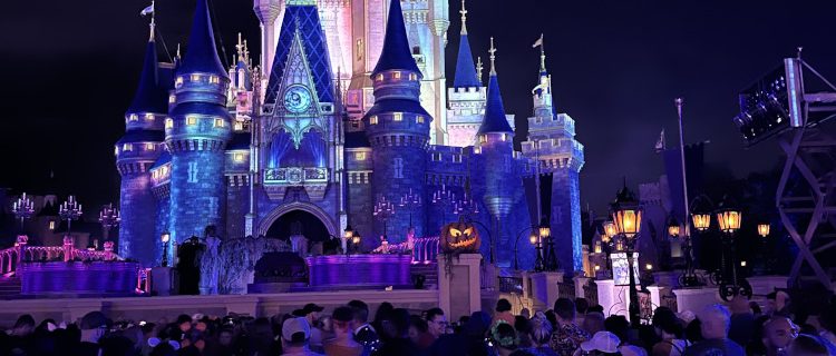 Walt Disney World - Cinderella Castle at Night
