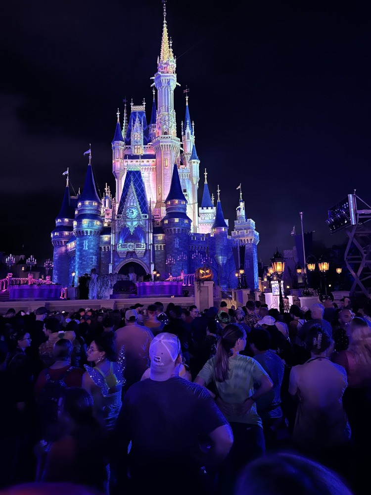 Walt Disney World - Cinderella Castle at Night