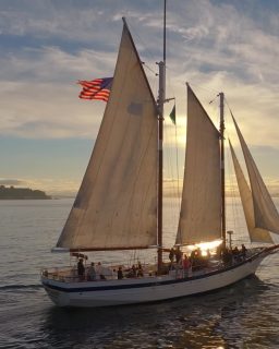 Want to explore more of the U.S.? Hear from Tour Manager Mike Hepler why going guided makes all the difference.Contact me today at chaney@allaboardtravelandcruise.com to learn more about Collette's small group tours.