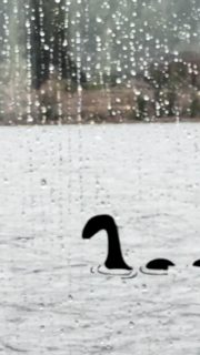 Not saying I found Nessie… but also not saying I didn’t 👀Took a tour out on Loch Ness and let’s just say… the camera was ready just in case 😂Scotland has a way of making everything feel a little mysterious—and I’m here for it.