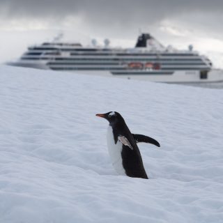 Planning ahead can actually pay off 👀Viking is offering up to $200 in shipboard credit per stateroom on 2026 cruises booked by January 31 — river, ocean, and expedition sailings included.If a Viking cruise has been on your “one day” list, this is a solid reason to start looking now. The popular itineraries don’t stick around long.DM me if you want to talk through which routes might make sense for you. 🚢✨