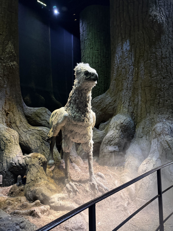 Buckbeek the hipogriff